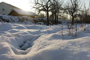Winter Jura